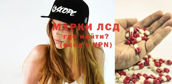 спиды Гвардейск