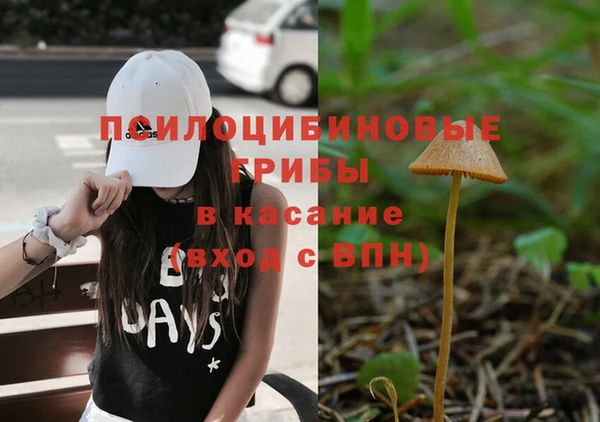 меф Пестово