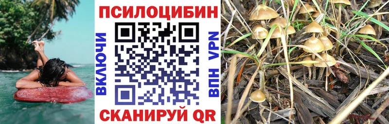 Галлюциногенные грибы прущие грибы Гудермес