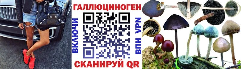 Псилоцибиновые грибы Psilocybine cubensis  закладка  Гудермес 