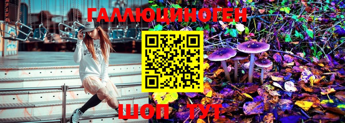 дарнет шоп  Гудермес  Псилоцибиновые грибы Psilocybe 