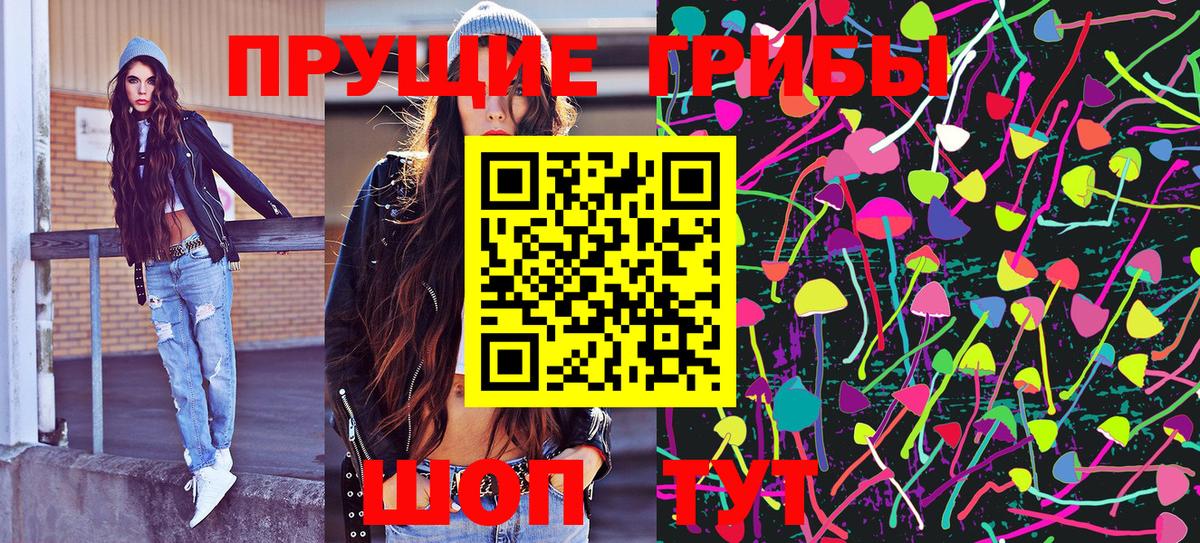 Псилоцибиновые грибы Cubensis Гудермес