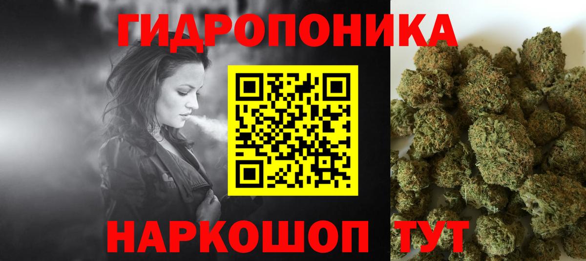 Каннабис MAZAR Гудермес